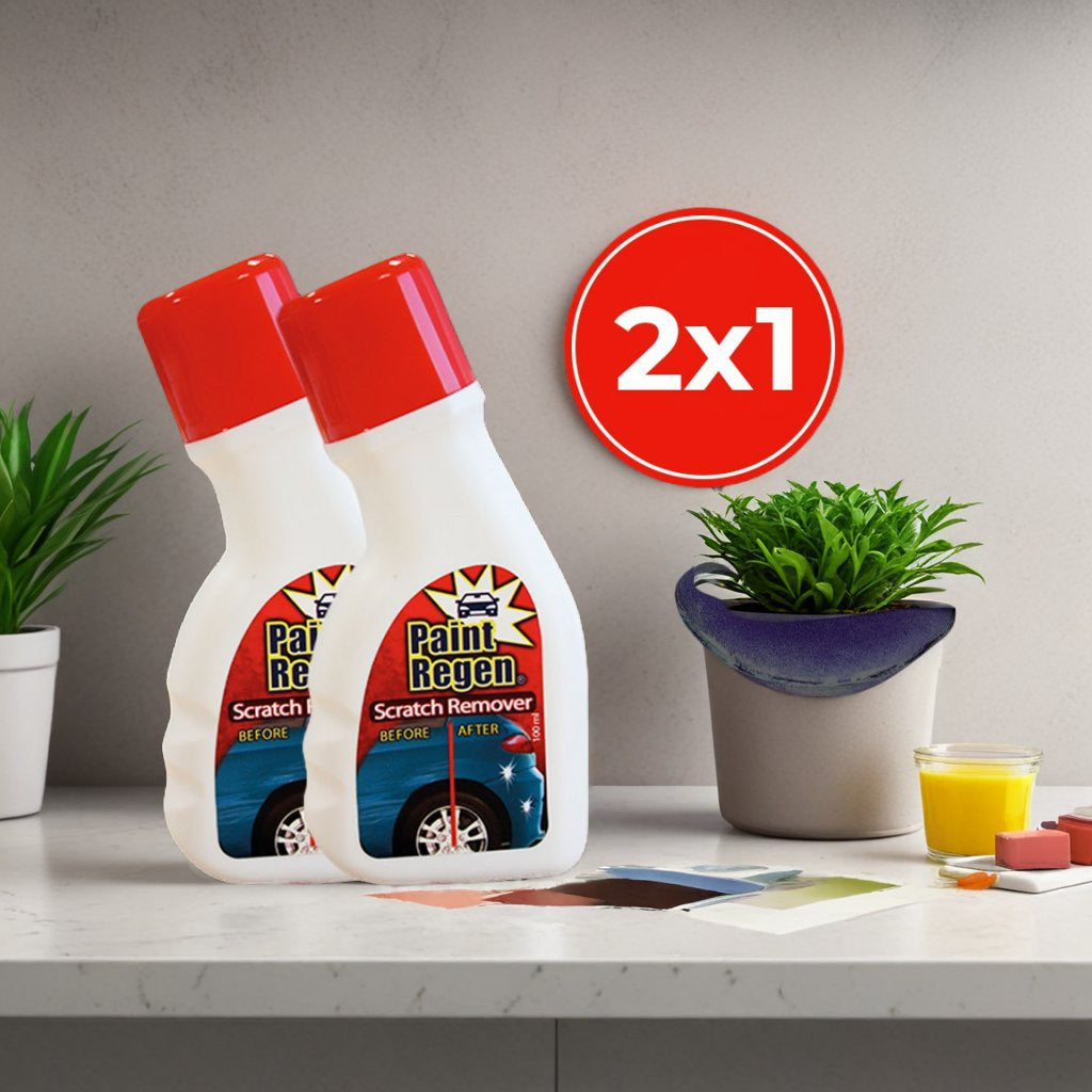 Paint Regen 2x1 a 1.007 CZK