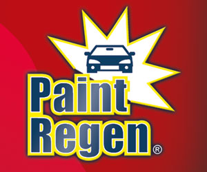 Car Vacuum + Paint Regen a 59,99€