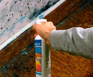 Starlyf Mold Erase 2x1 a 49,99€