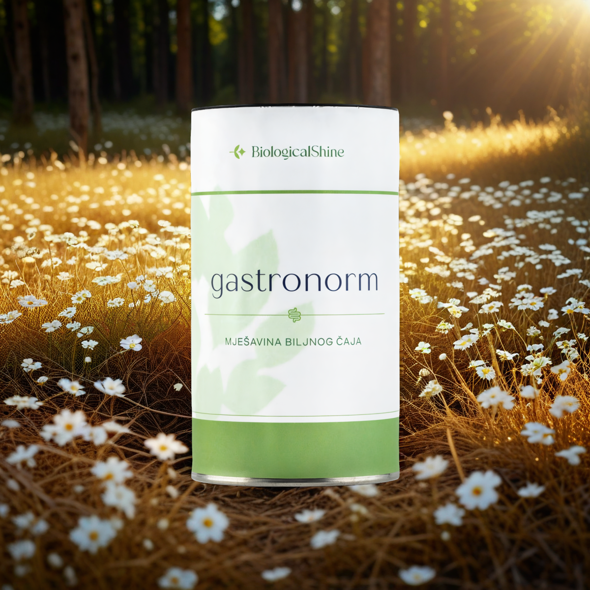 Gastronorm Low Price